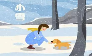 安氏亞森板材：小雪丨花開天下暖，葉落天下寒